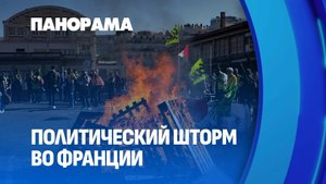 Французы бунтуют: политический кризис в европейском саду. Панорама