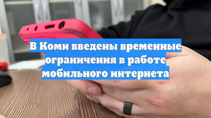 В Коми введены временные ограничения в работе мобильного интернета