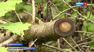 Хранители природы отмечают профессиональный праздник 21 сентября