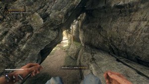 Dying Light  The Beast