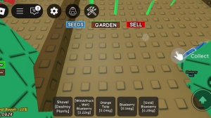 Играем в вырост сад