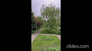 clideo_editor_aa88f5a3b8864fa0baf4d46e68f27340