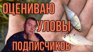 ИГОРЯМБА ОЦЕНИВАЕТ УЛОВЫ ПОДПИСЧИКОВ!