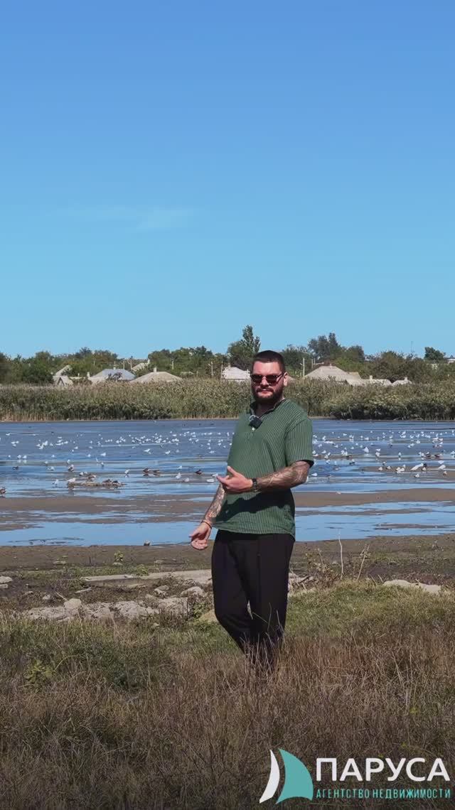 ПроРиелт смотреть онлайн