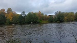 Река Ура !!!  Нахлыст и морская Кумжа 🎣🎣🎣 19.09.2025