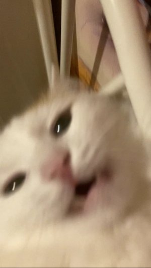 Рука гладит Еву в ускоренной версии