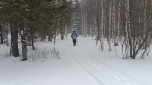 Ольга Новикова | ТОЧКА.РФ – МЕСТО | г. Златоуст