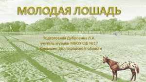 Минутка отдыха Молодая лошадь