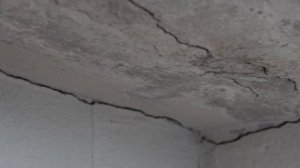 Жители Камчатки рассказали о хаосе во время мощного землетрясения