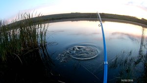 ДА ГДЕ ЖЕ ЩУКА!? Рыбалка на спининг на окуня!