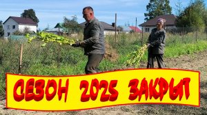ПОСЛЕДНИЕ ТАБАЧНЫЕ РАБОТЫ. ГОТОВИМ ЗЕМЛЮ к сезону 2026. УРОЖАЙ ПОМИДОРОВ порадовал. ЖИЗНЬ В ДЕРЕВНЕ