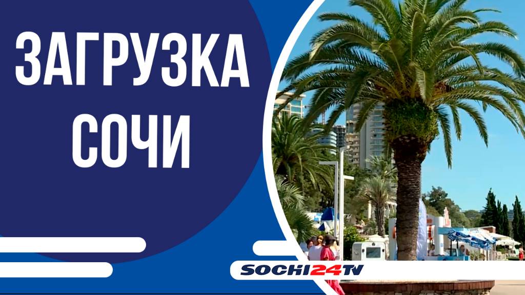 В бархатный сезон в Сочи единовременно находятся 180 тыс. чел.