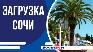 В бархатный сезон в Сочи единовременно находятся 180 тыс. чел.