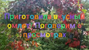 Приготовила вкусный омлет/ Поговорим о просмотрах