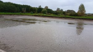 обзор водоёма РК "Фишка" Петряиха
