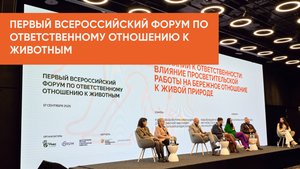Первый всероссийский форум по ответственному отношению к животным