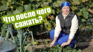 Севооборот в огороде: как чередовать культуры на участке