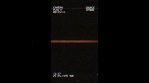 1000034939.mp4 (Собака наблюдает за устройством откосов у оконных проёмов з/фронтона дома А-фрейм)