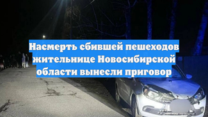 Насмерть сбившей пешеходов жительнице Новосибирской области вынесли приговор