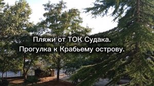 19-09-2025 Пляжи ТОК- Судака и прогулка в сторону Крабьего острова.