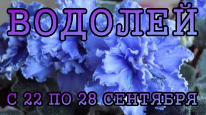 ВОДОЛЕЙ таро прогноз на неделю с 22 по 28 СЕНТЯБРЯ 2025 года.