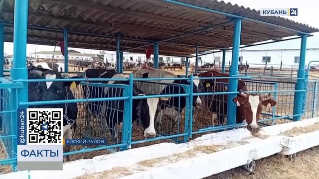 Краевой конкурс "Лучший по профессии" стартовал в Ейском районе