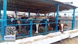 Краевой конкурс "Лучший по профессии" стартовал в Ейском районе