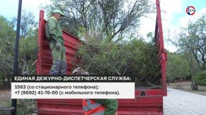 Городские службы вновь поступили к устранению последствий непогоды