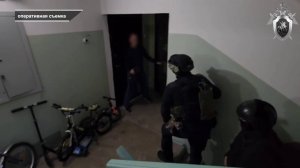 10 ЖИТЕЛЕЙ КРАЯ СОЗДАЛИ ЭКСТРЕМИСТСКОЕ СООБЩЕСТВО НЕОНАЦИСТСКОЙ НАПРАВЛЕННОСТИ