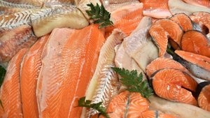 ЕС более чем на четверть увеличил импорт морепродуктов из РФ за семь месяцев