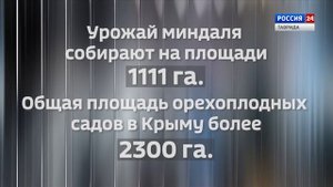 ВЕСТИ КРЫМ: выпуск 19.09.2025 17:30