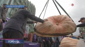 Необъятные тыквы, огромные кабачки и тяжеленные арбузы: в Москве показали овощи-гиганты