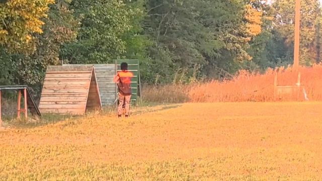 Мячик - наше все! Баларис ЮСТ ВАН, 1 год 8 месяцев. (Zorkinhof ZHITAN — ЮРМА с Путиловой Горы)