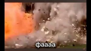 прокоти ёжик