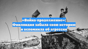 «Война-продолжение»: Финляндия забыла свою историю и вспомнила об агрессии