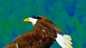 ГАЛАКТИЧЕСКАЯ ФЕДЕРАЦИЯ СВЕТА !!! СПАСИТЕ СЕБЯ