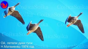 Ой, летели дики гуси (Гуси высоко летят – воды будет много; низко – мало. В.И.Даль Земледелие)