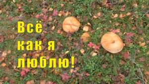 СЮДА Я ХОЧУ ВСЕГДА / ВСЕ КАК ЛЮБЛЮ /15 и 16 сентября 2025