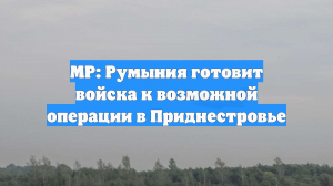 MP: Румыния готовит войска к возможной операции в Приднестровье