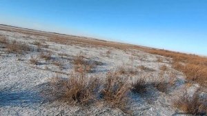 Охота на зацев 2024 2025