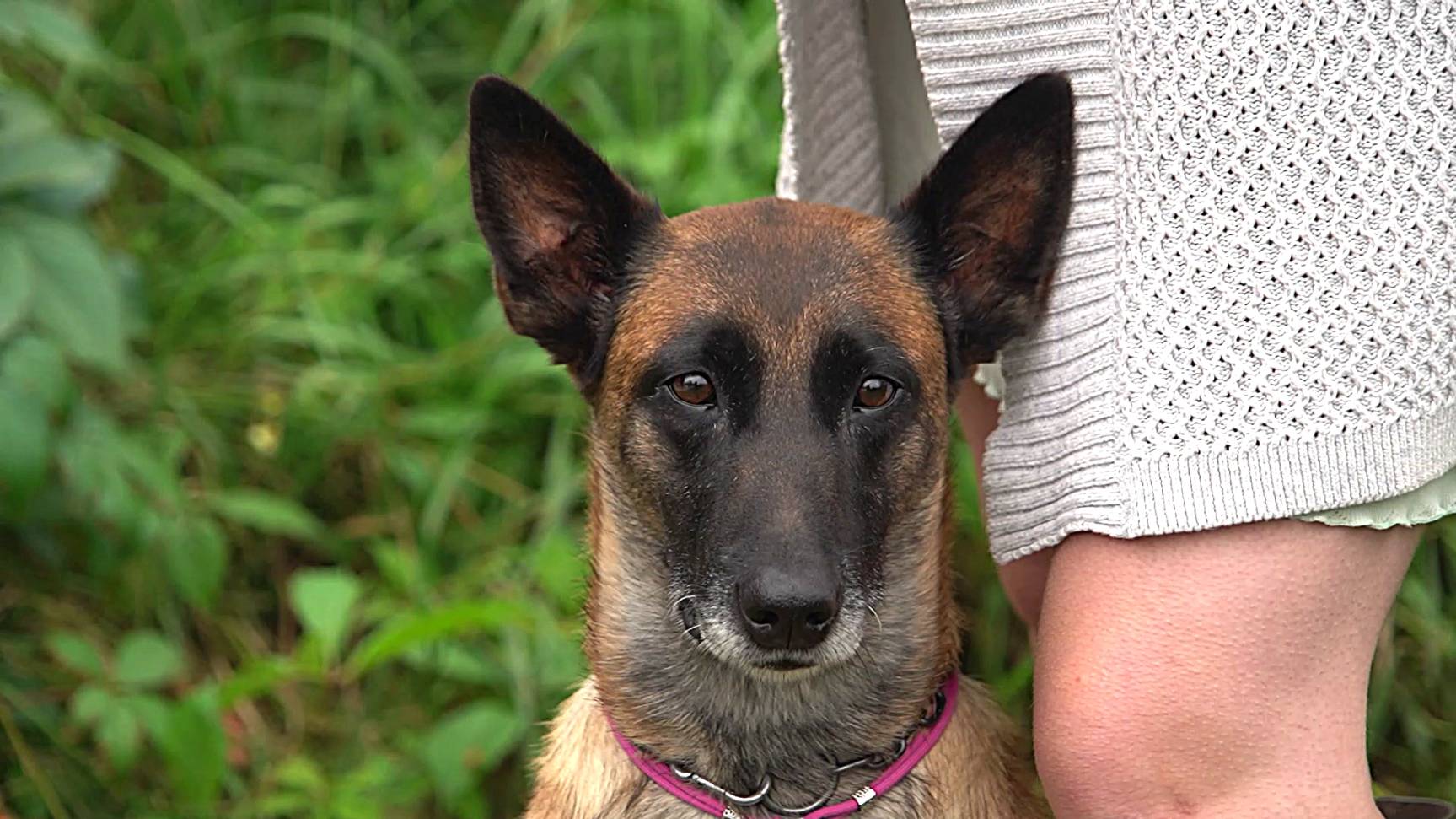 Большая область | 20.09.2025