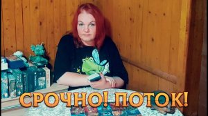 СРОЧНАЯ ИНФОРМАЦИЯ ИЗ ПОТОКА! ЭТО НУЖНО УСЛЫШАТЬ ПРЯМО СЕЙЧАС! | Гадание таро расклад