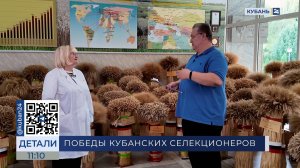 Людмила Беспалова: каждый год наши селекционеры отмечаются новым сортом пшеницы