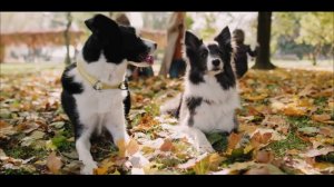 Олег Атаманов. "Дары".