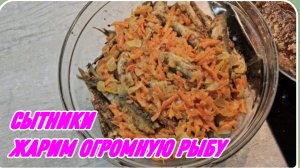 САМВЕЛ АДАМЯН, СЫТНИКИ, ЖАРИМ ОГРОМНУЮ РЫБУ..