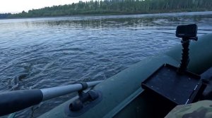 🔺️🎣МИМО🎣🔺️fishing#туризм#природа#ловля#рыбалка#щука#ловлящуки#ночевка#Чулым#река#спиннинг