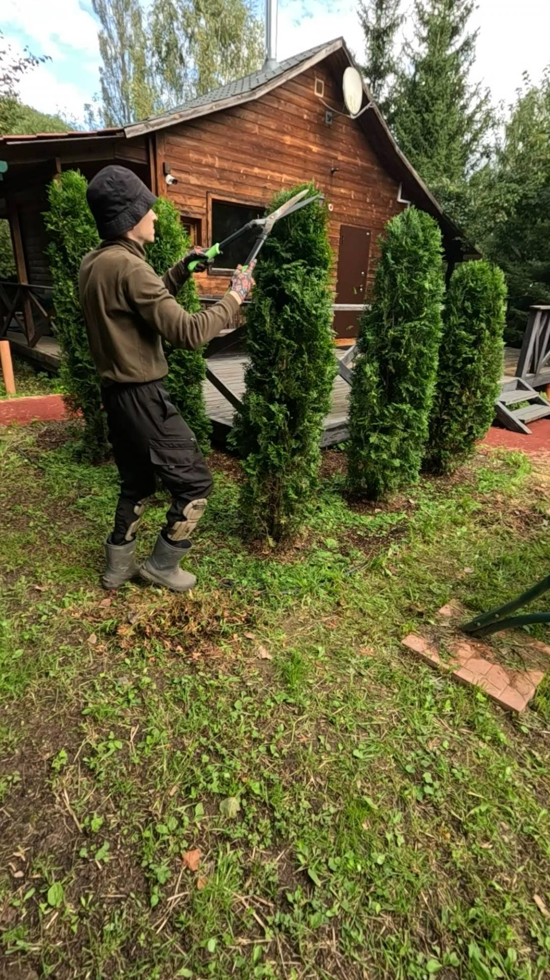 Стрижка туй