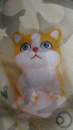 прямой эфир с Лёлей