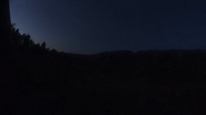 Как отвлечь сына от смартфона? Беру на охоту!😏