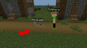 Прятки превращая в мобов с Солимарой в Майнкрафте | ManeLego minecraft